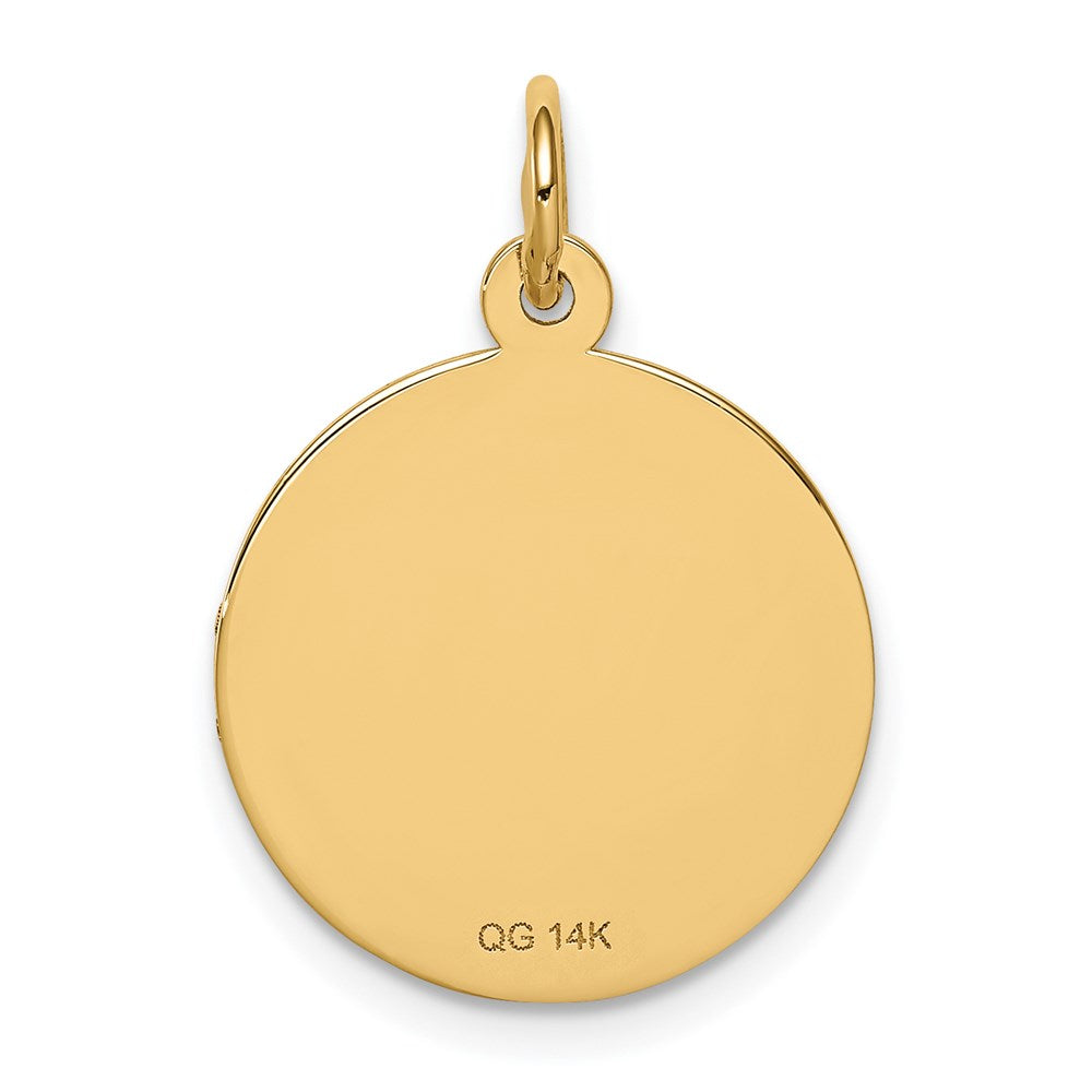 14 Karat Gelbgold Medizinschmuck-Anhänger, unemailliert