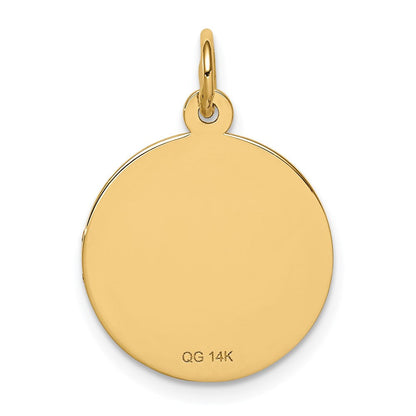 14 Karat Gelbgold Medizinschmuck-Anhänger, unemailliert