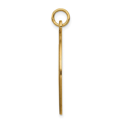 14K Gelbgold Unemaillierter Medizinschmuck-Anhänger