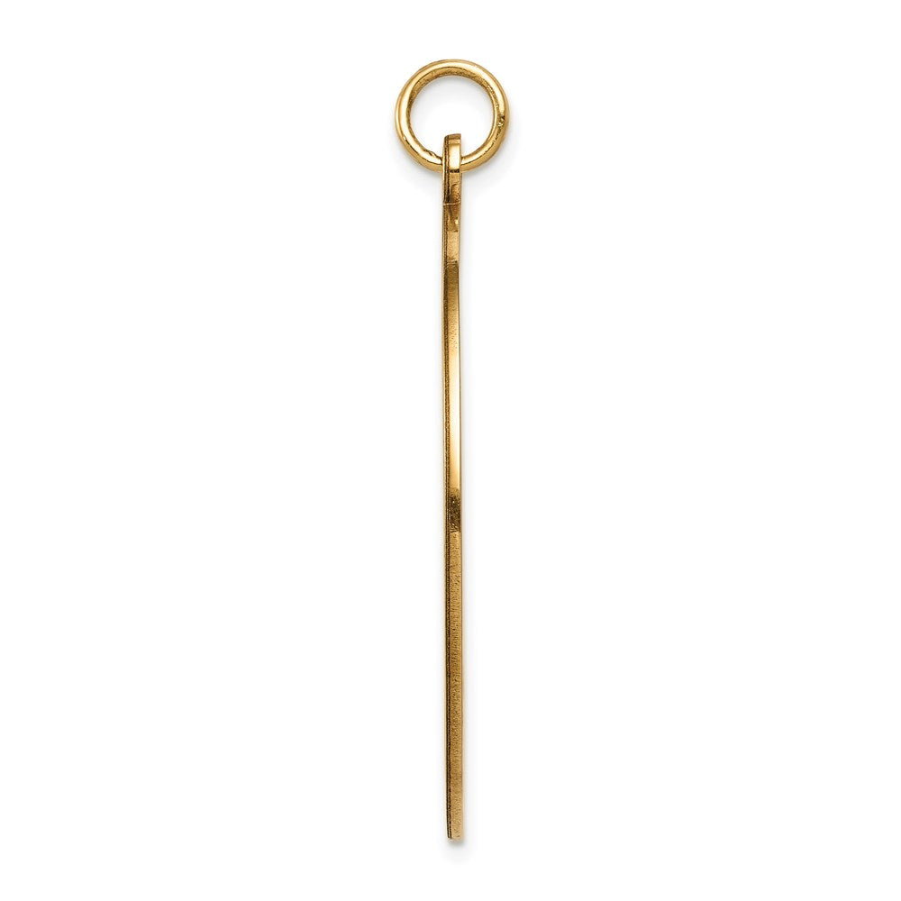 14K Gelbgold Medizin-Schmuck Anhänger, unemailliert