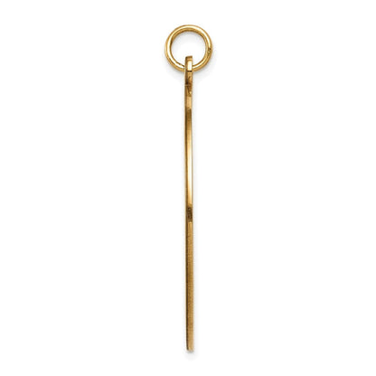 14K Gelbgold Medizin-Schmuck Anhänger, unemailliert