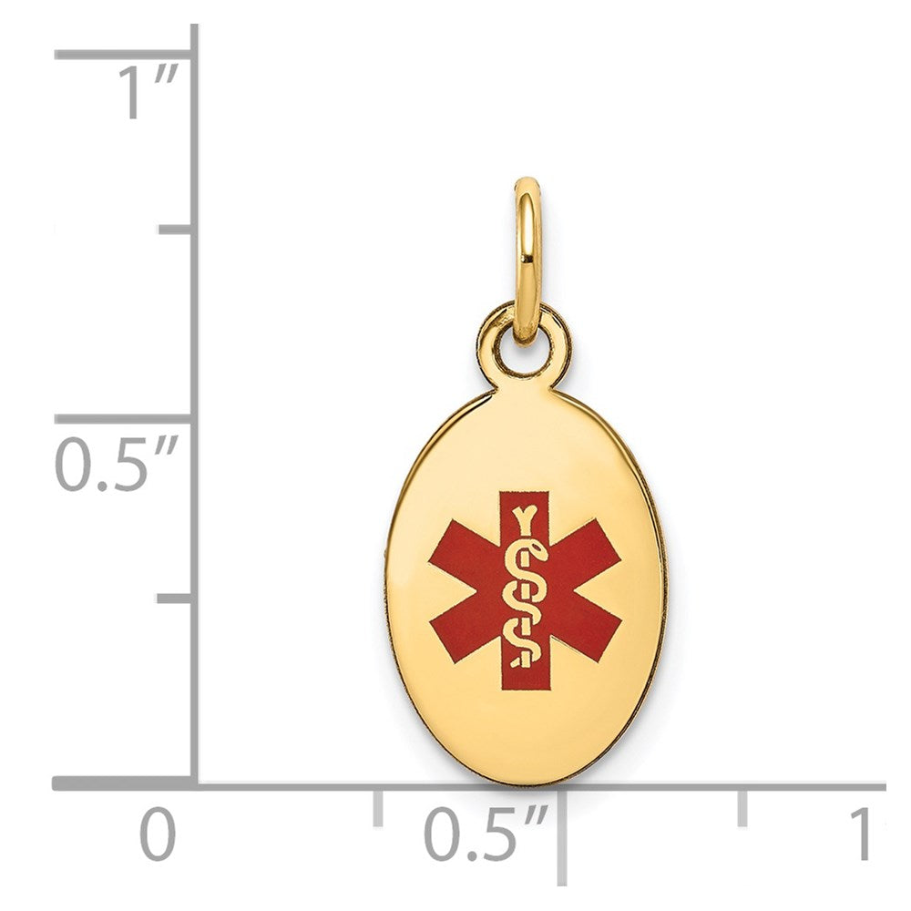 14K Gelbgold 14K Poliert Emaille Medizinisch Schmuck Anhänger