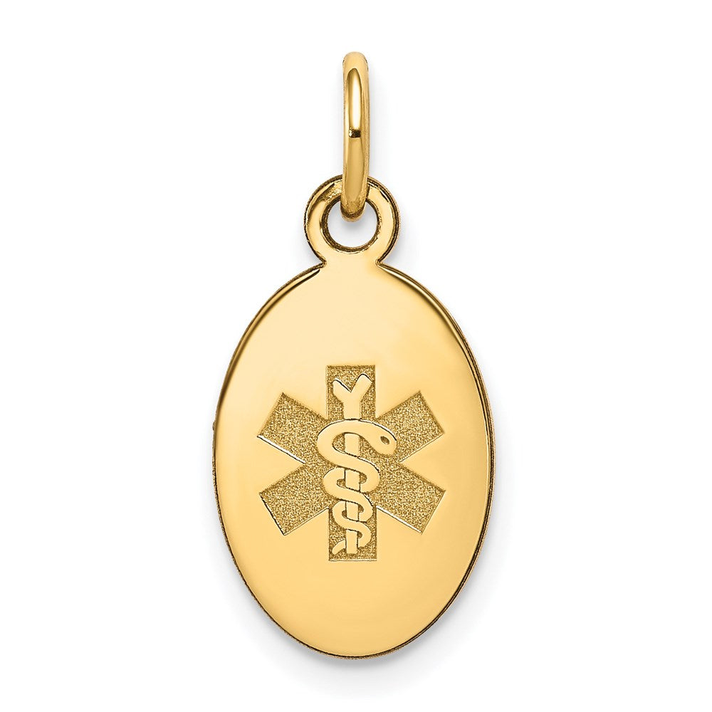 14 Karat Gelbgold nicht emaillierter Medizin-Schmuck-Anhänger