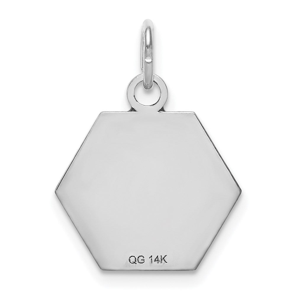 14 Karat Weißgold Anhänger mit rotem Emaille-Medizinschmuck-Symbol