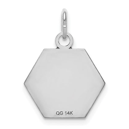 14 Karat Weißgold Anhänger mit rotem Emaille-Medizinschmuck-Symbol