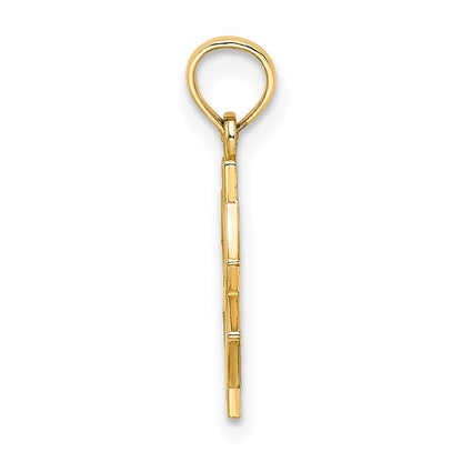 14K Gelbgold 14K Medizinisch Schmuck Symbol Charm