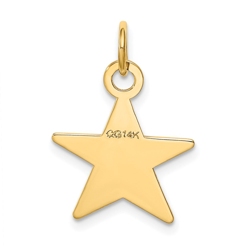 14K Gelbgold Stern Plättchen Charm