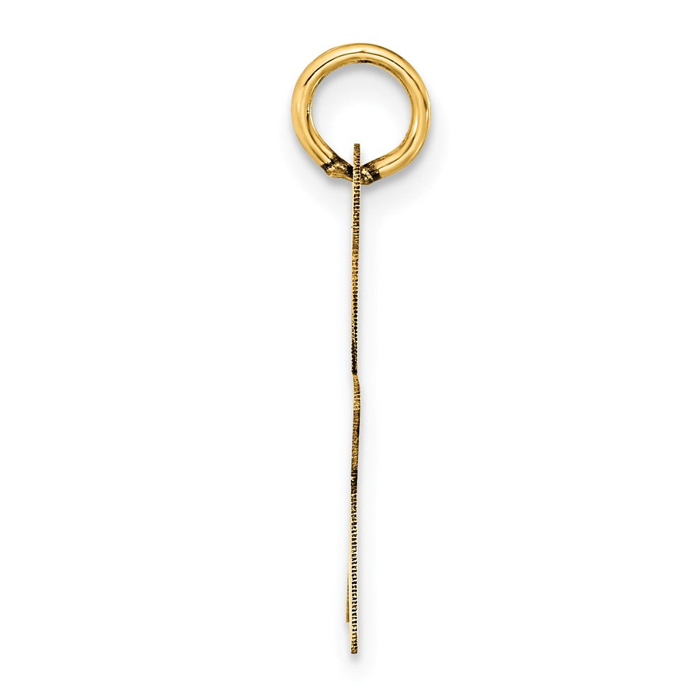 14K Gelbgold Stern-Scheiben-Charm