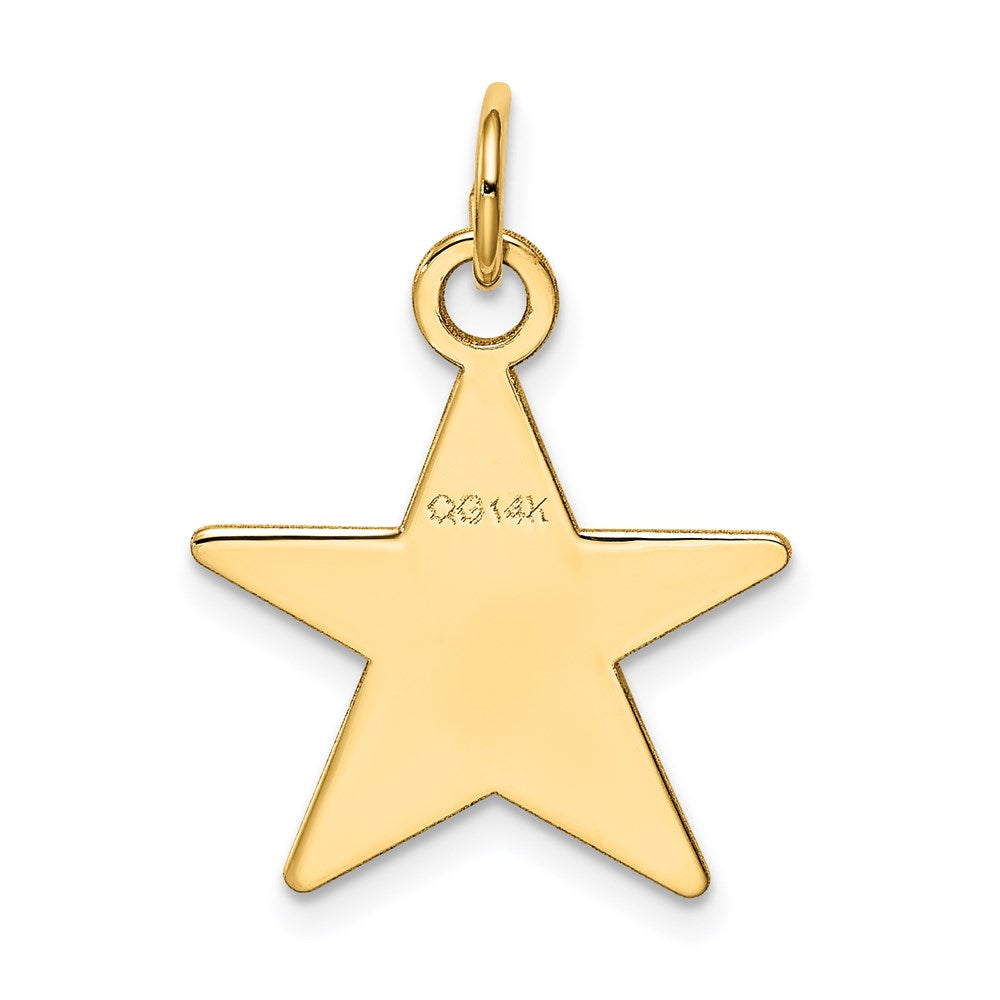 14K Gelbgold Stern-Scheiben-Charm