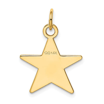 14K Gelbgold Stern-Scheiben-Charm