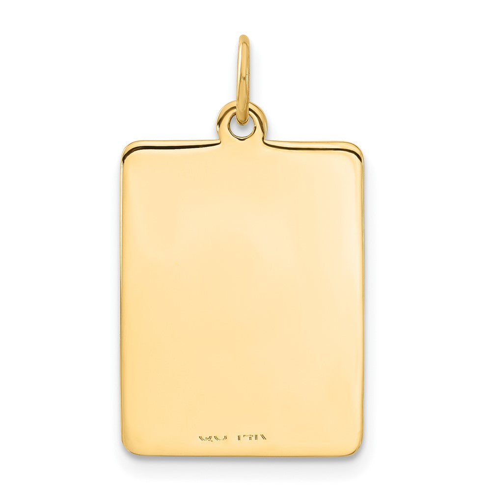 14K Gelbgold Medizinischer Schmuckanhänger mit roter Emaille