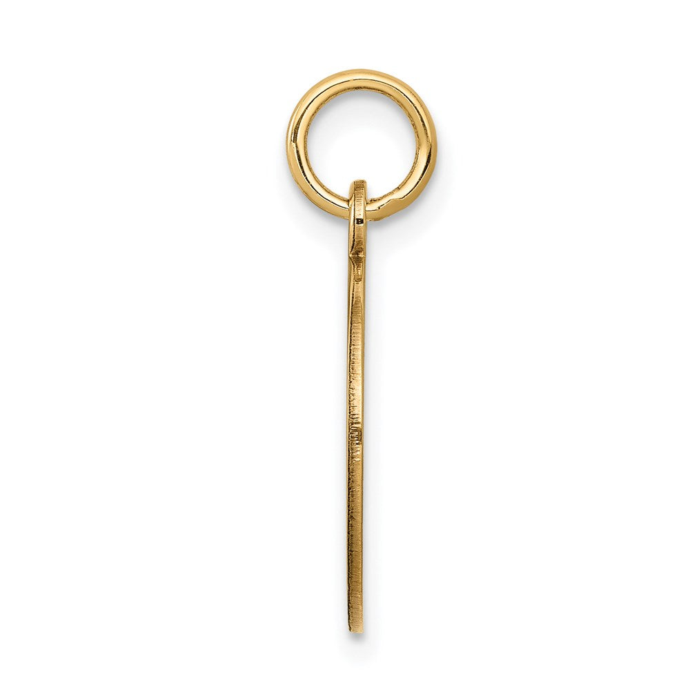 14 Karat Gelbgold mit Emaille, 0,027 Gauge, rundes gravierbares Scheiben-Charm