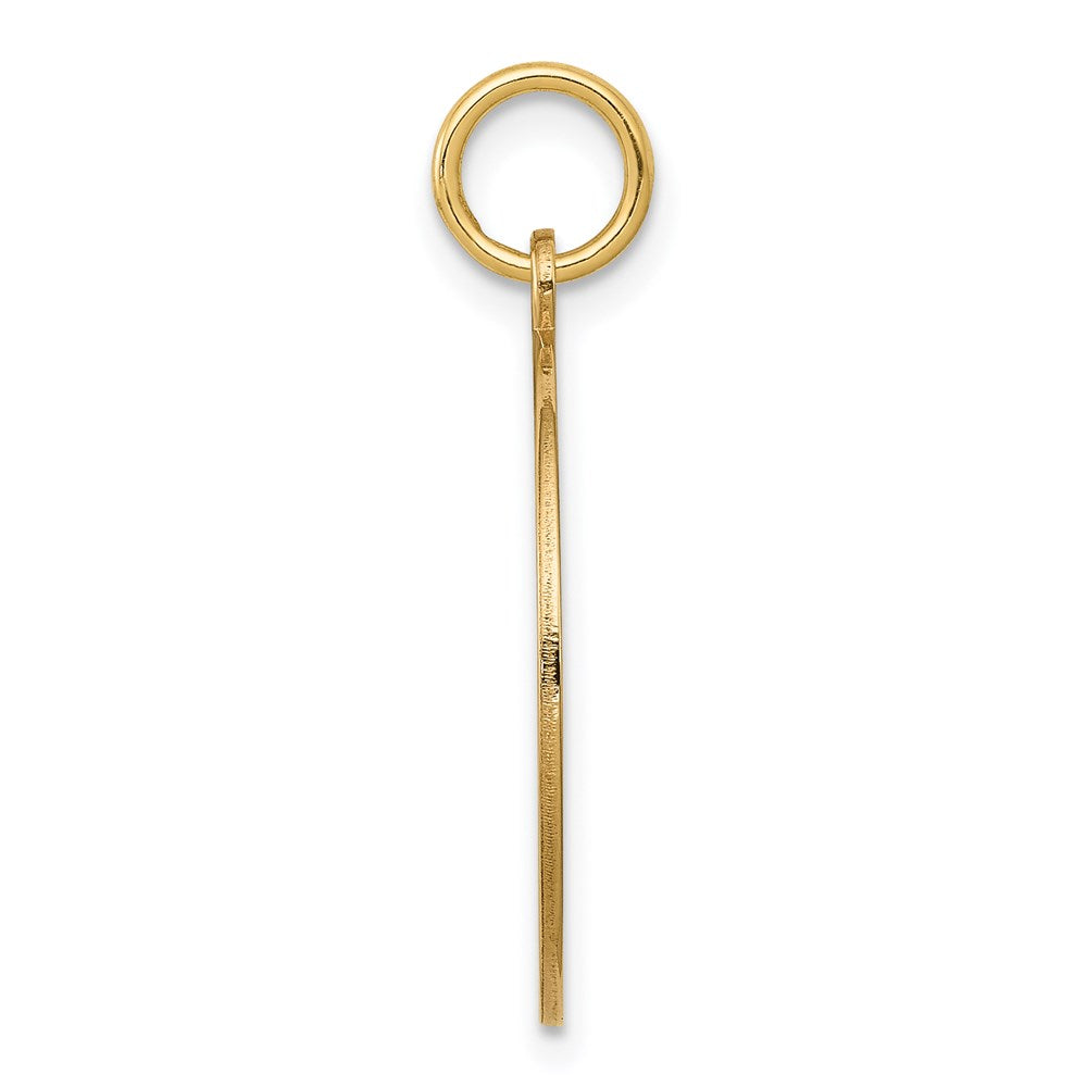 14 Karat Gelbgold mit Emaille, 0,027 Gauge, runder gravierbarer Scheiben-Charm