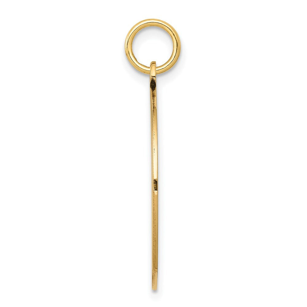 14 Karat Gelbgold mit Emaille, 0,027 Gauge, runder gravierbarer Scheiben-Charm