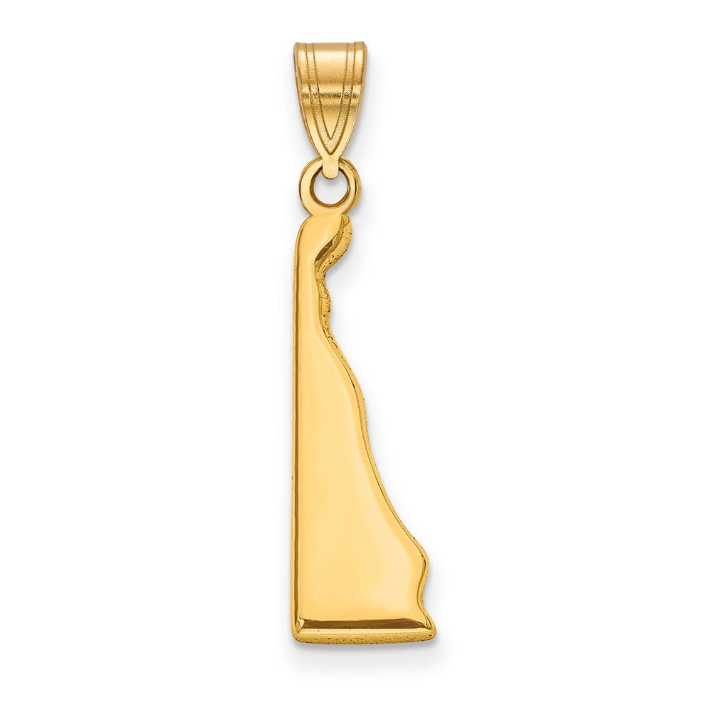 14K Gelbgold 14ky Delaware State Anhänger