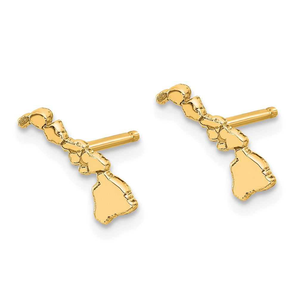 14K Gelbgold 14ky Hawaii State Ohrringe