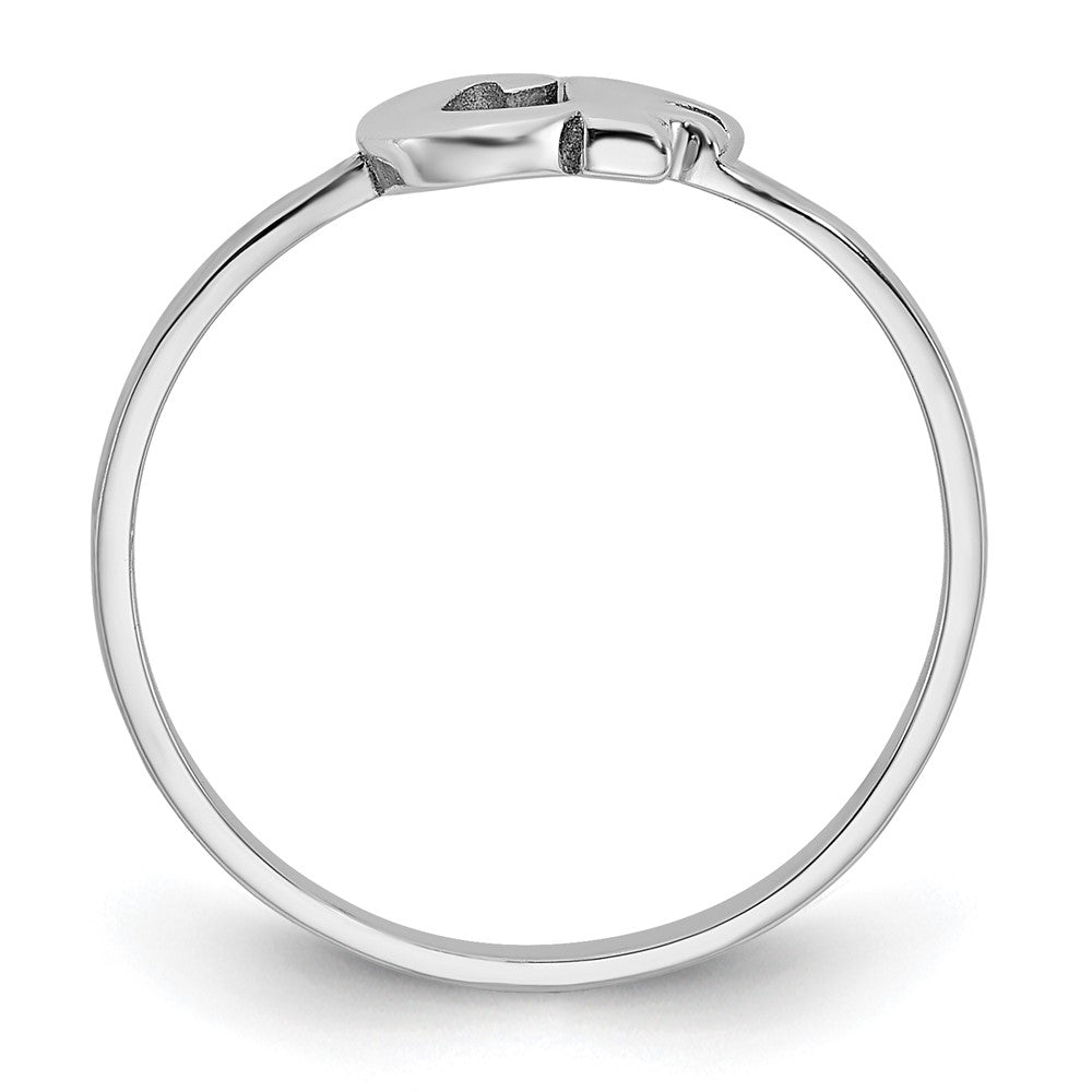 14K Weißgold Ring mit doppeltem Initial in Schreibschrift oder Blockschrift