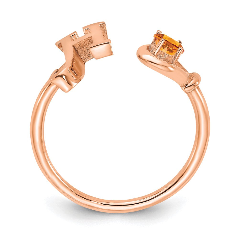14K Roségold Buchstabe H Ring mit Geburtsstein