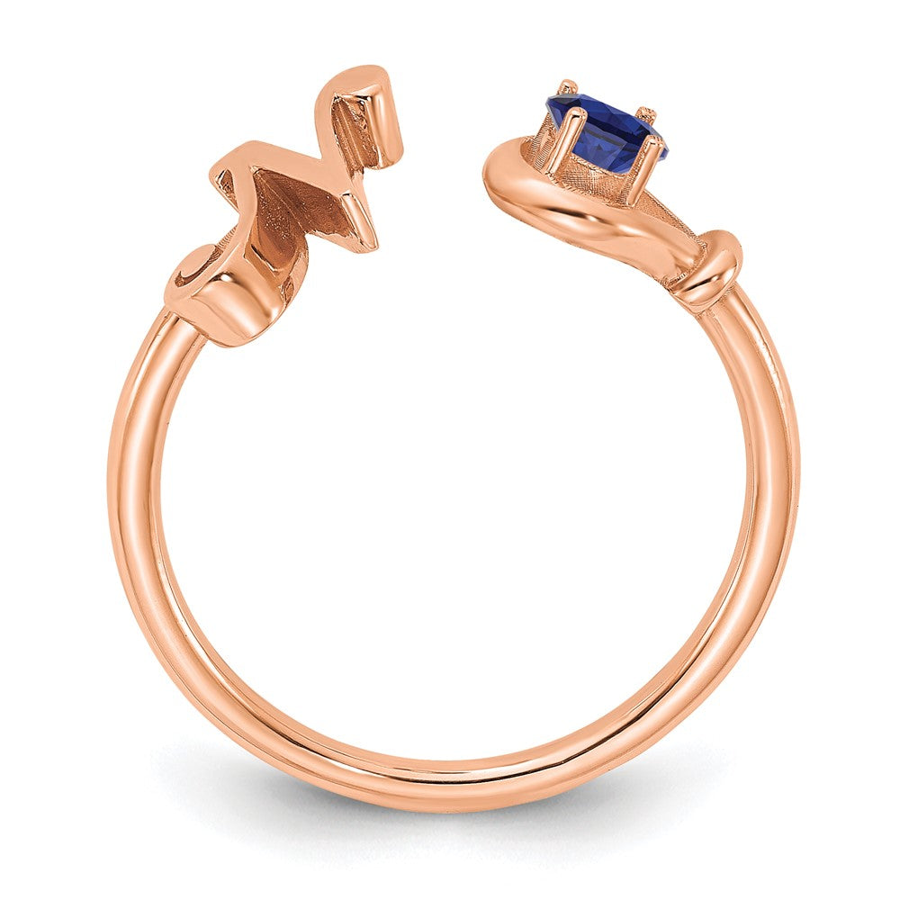 585 Roségold Buchstabe N Ring mit Geburtsstein