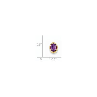 14K Gelbgold 8x6mm Oval Amethyst Zargenanhänger