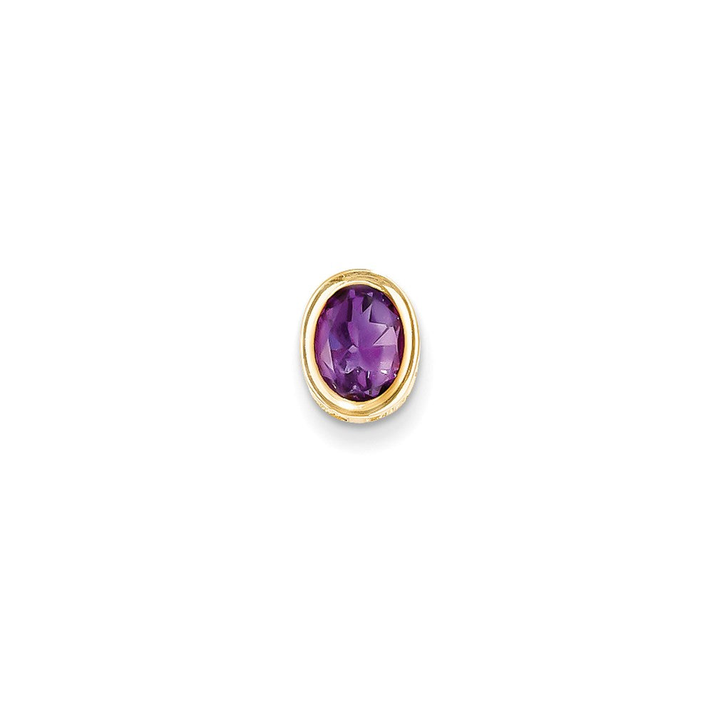 14K Gelbgold 8x6mm Oval Amethyst Zargenanhänger