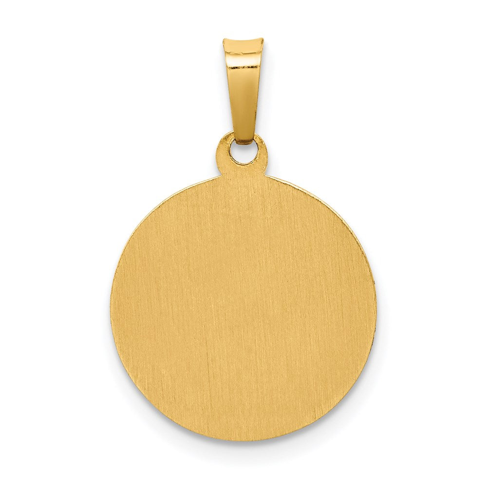 14K Gelbgold 14K Poliert und Satiniert St Franziskus Medaille Hohl Anhänger