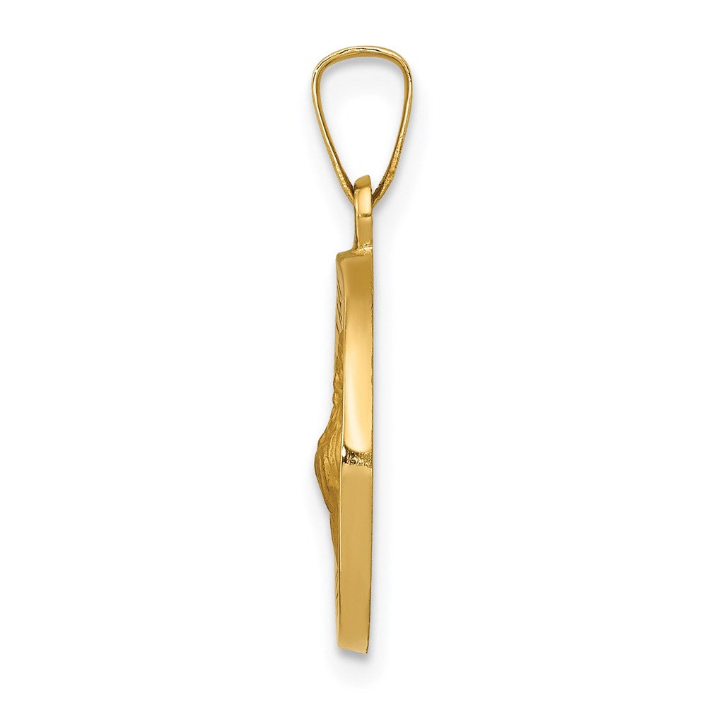 14K Gelbgold 14K Poliert und Satiniert St Franziskus Of Assisi Medaille Hohl Anhänger