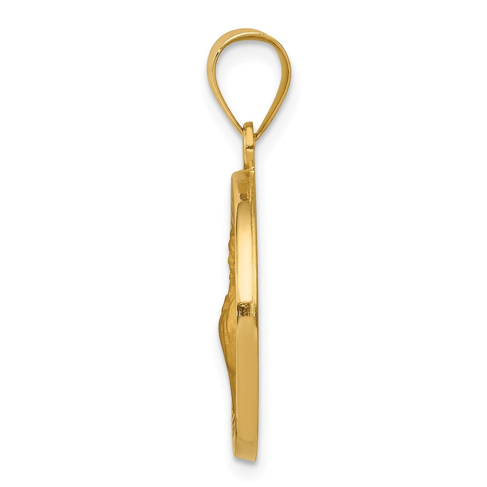 14K Gelbgold 14K Poliert und Satiniert St Franziskus Of Assisi Medaille Hohl Anhänger