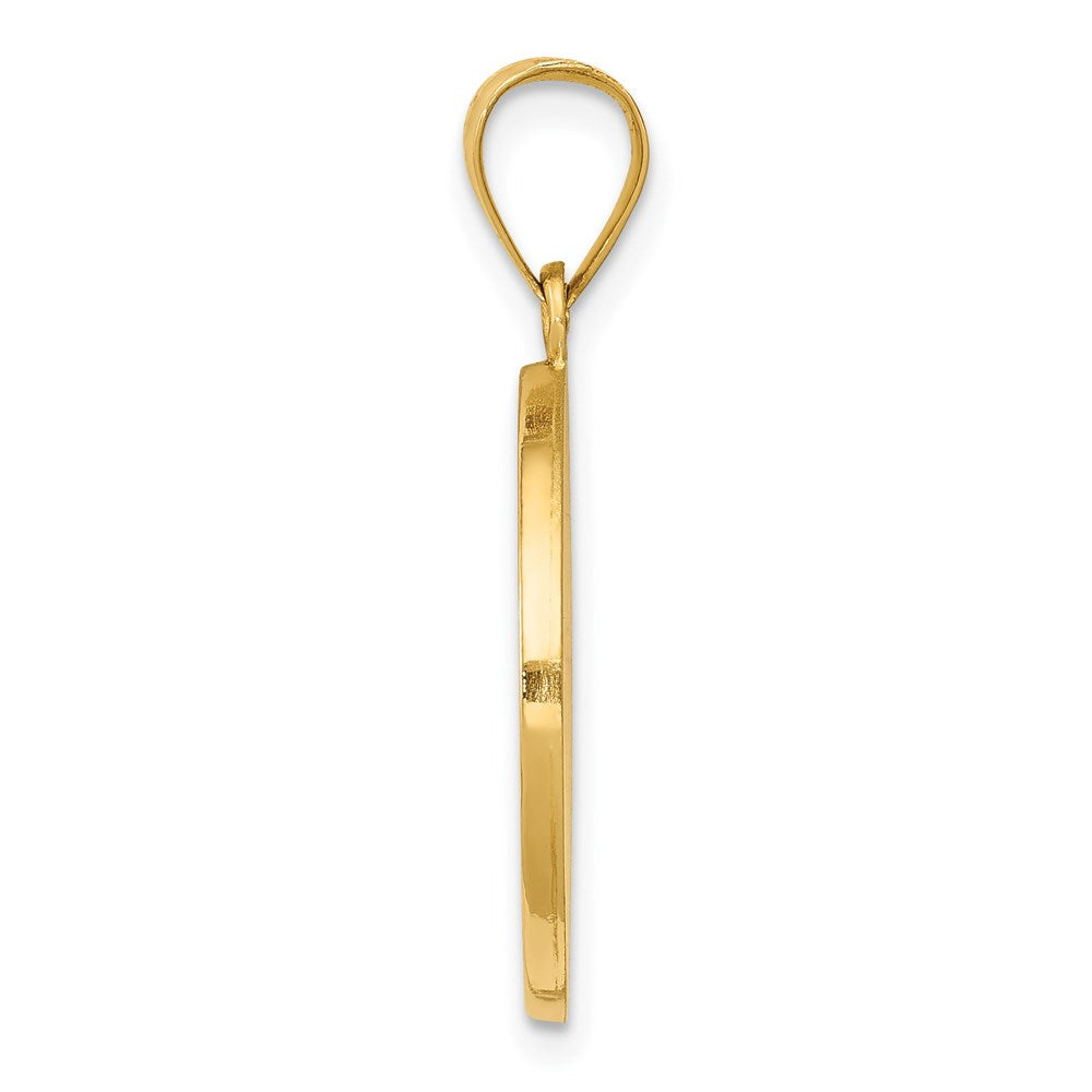 14K Gelbgold 14K Poliert Satiniert Hohl Divino Nino Rund Medaille Anhänger