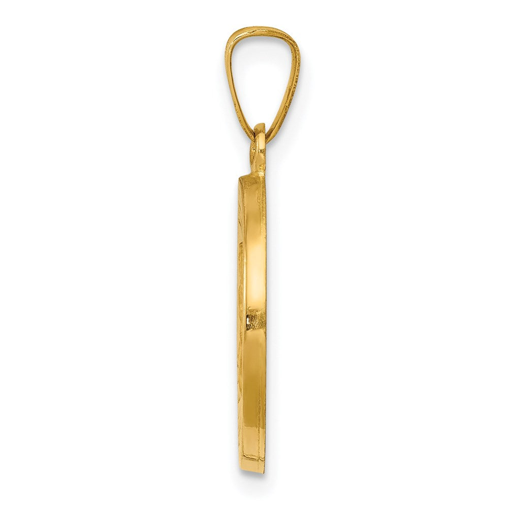 14K Gelbgold 14K Poliert Satiniert Hohl Divino Nino Rund Medaille Anhänger