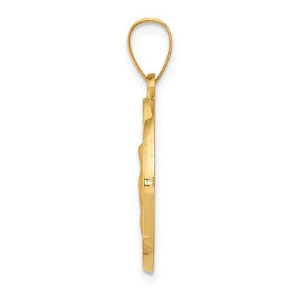 14K Gelbgold 14K Poliert/satin Hohl Spanish Saint Anne Medaille Anhänger