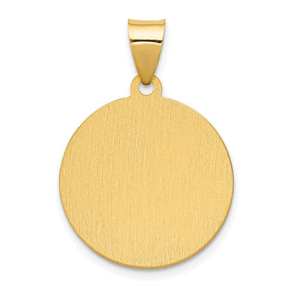 14K Gelbgold 14K Poliert/satin Hohl Spanish Saint Anne Medaille Anhänger