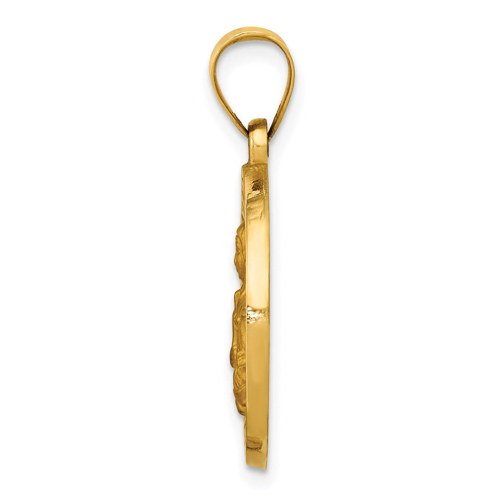 14K Gelbgold 14K Poliert/satin St. Brigid Hohl Medaille Anhänger