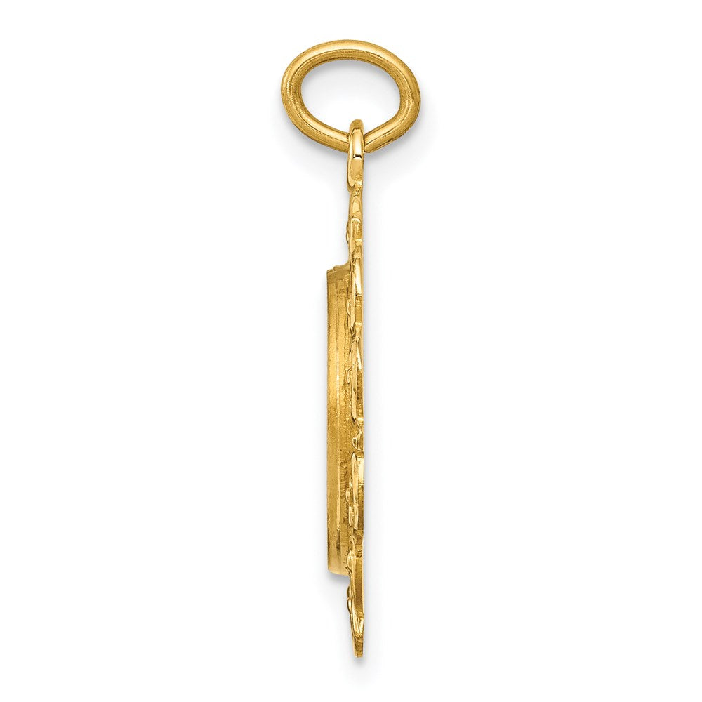 14K Gelbgold 14K Poliert/satin Spanish 1st Kommunion Medaille Hohl Anhänger