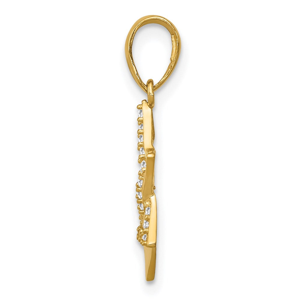 14K Gelbgold 14K Poliert Zirkonia Stern Of David Anhänger