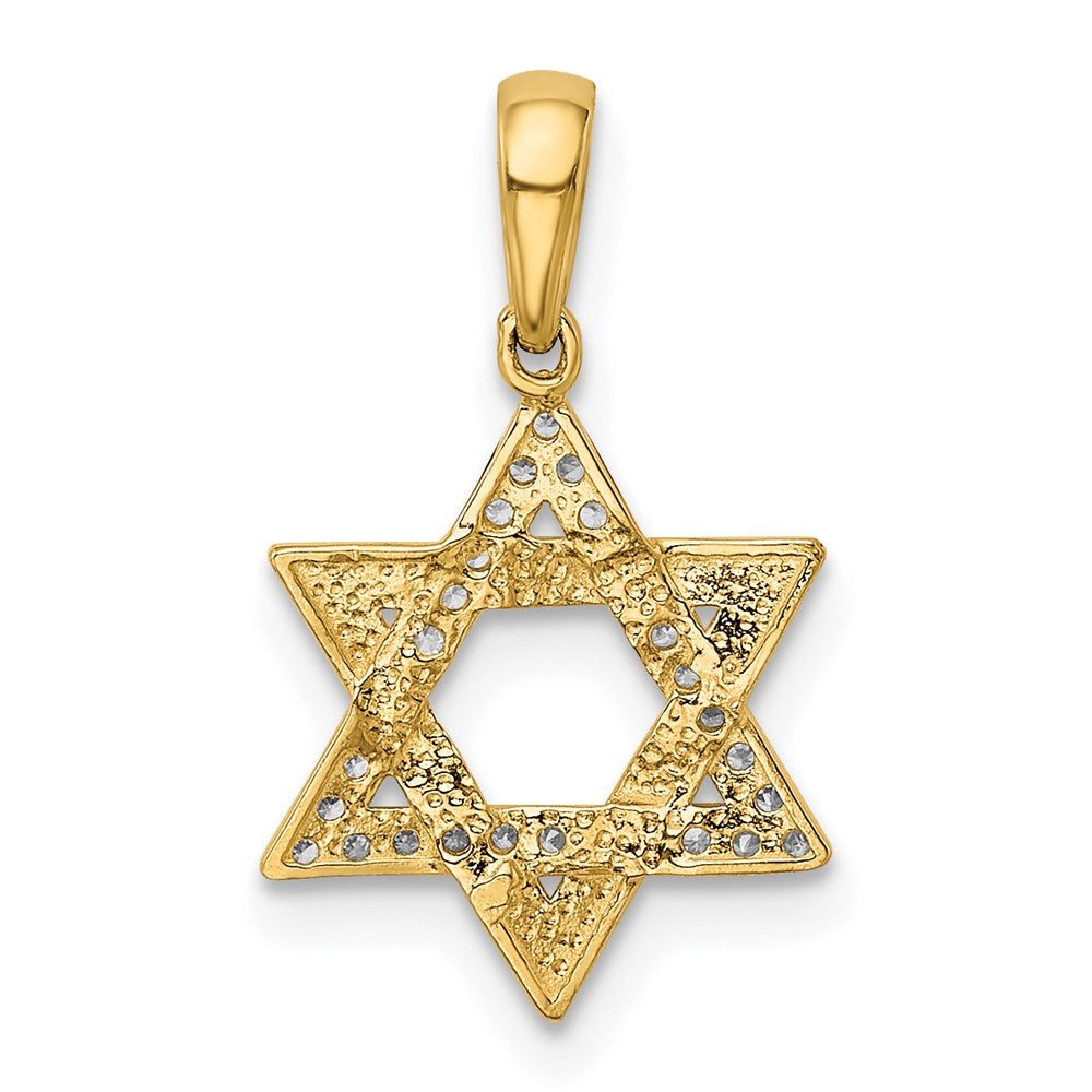 14K Gelbgold 14K Poliert Zirkonia Stern Of David Anhänger