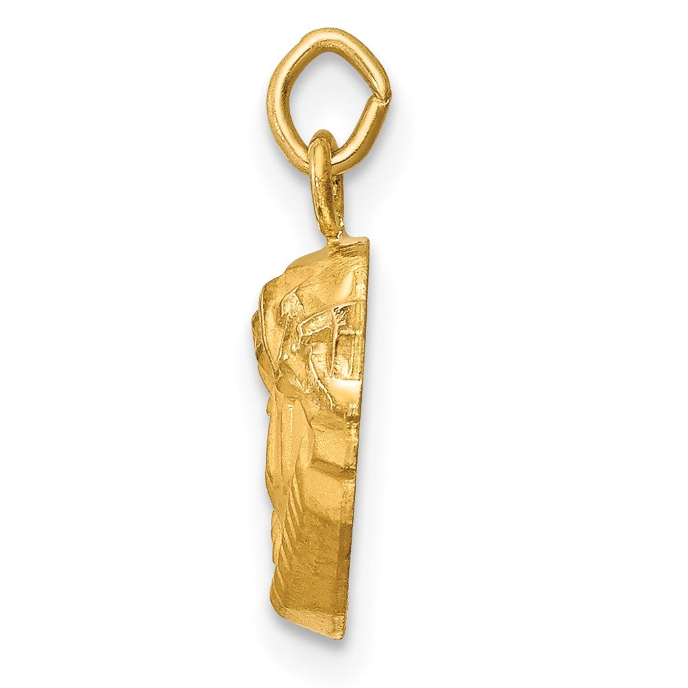 14K Gelbgold 14K Hohl Poliert/satin Klein Jesus Medaille