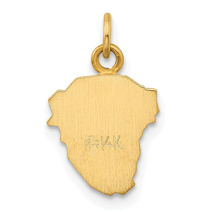 14K Gelbgold 14K Hohl Poliert/satin Klein Jesus Medaille