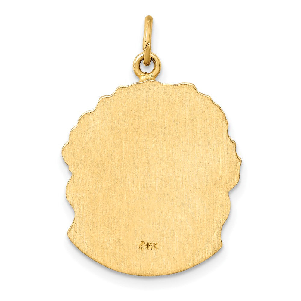 14K Gelbgold 14K Hohl Poliert/satin Mittel Jesus Medaille