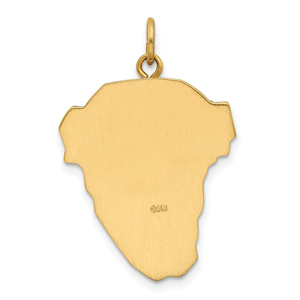 14K Gelb & Rhodium Hohl Poliert/satin Groß Jesus Medaille