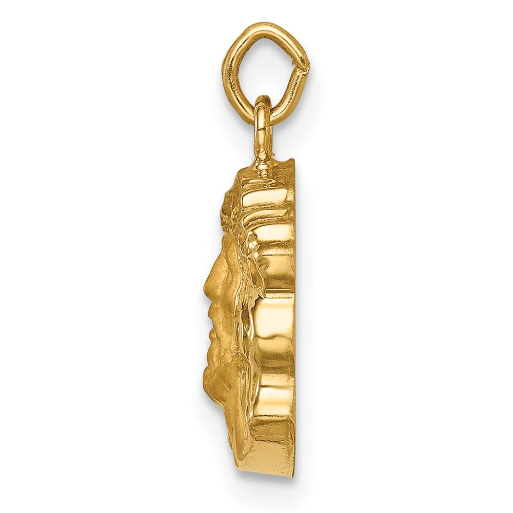 14K Gelbgold 14K Hohl Poliert/satin Klein Jesus Medaille