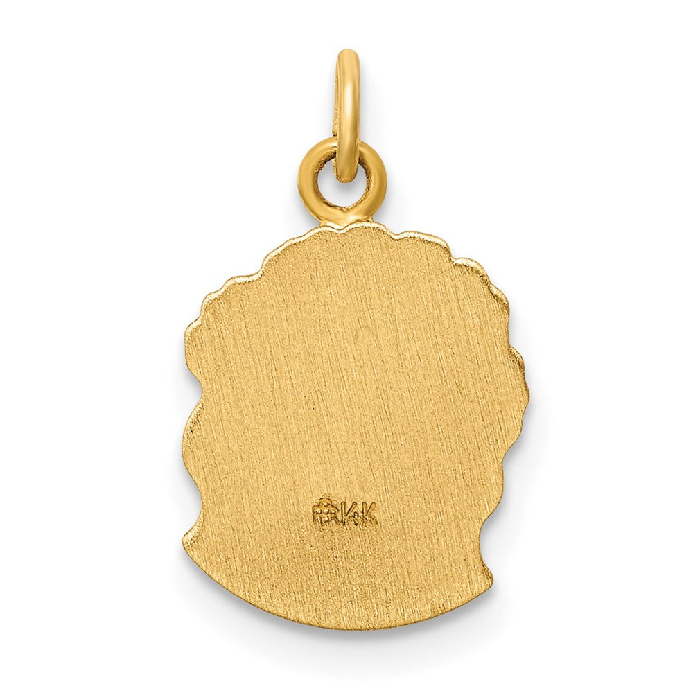 14K Gelbgold 14K Hohl Poliert/satin Klein Jesus Medaille