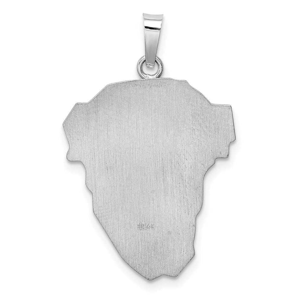 14K Weißgold 14K Weißgold Hohl Poliert/satin Mittel Jesus Medaille