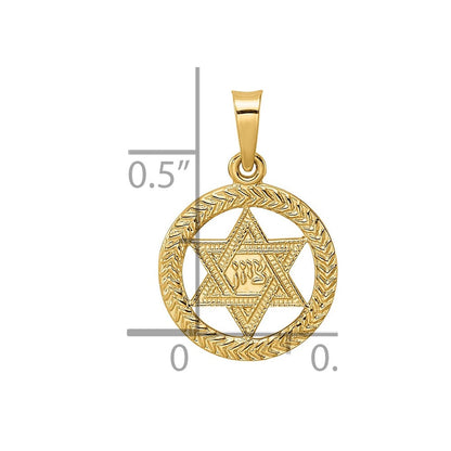 14K Gelbgold Poliert und Strukturiert Massiv Stern Of David in Rahmen Anhänger