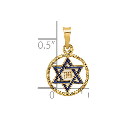 14K Gelbgold 14K Poliert Massiv Emailliert Stern Of David in Rahmen Anhänger