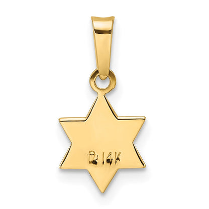 14K Gelbgold 14K Poliert und Emailliert Massiv Stern Of David Anhänger