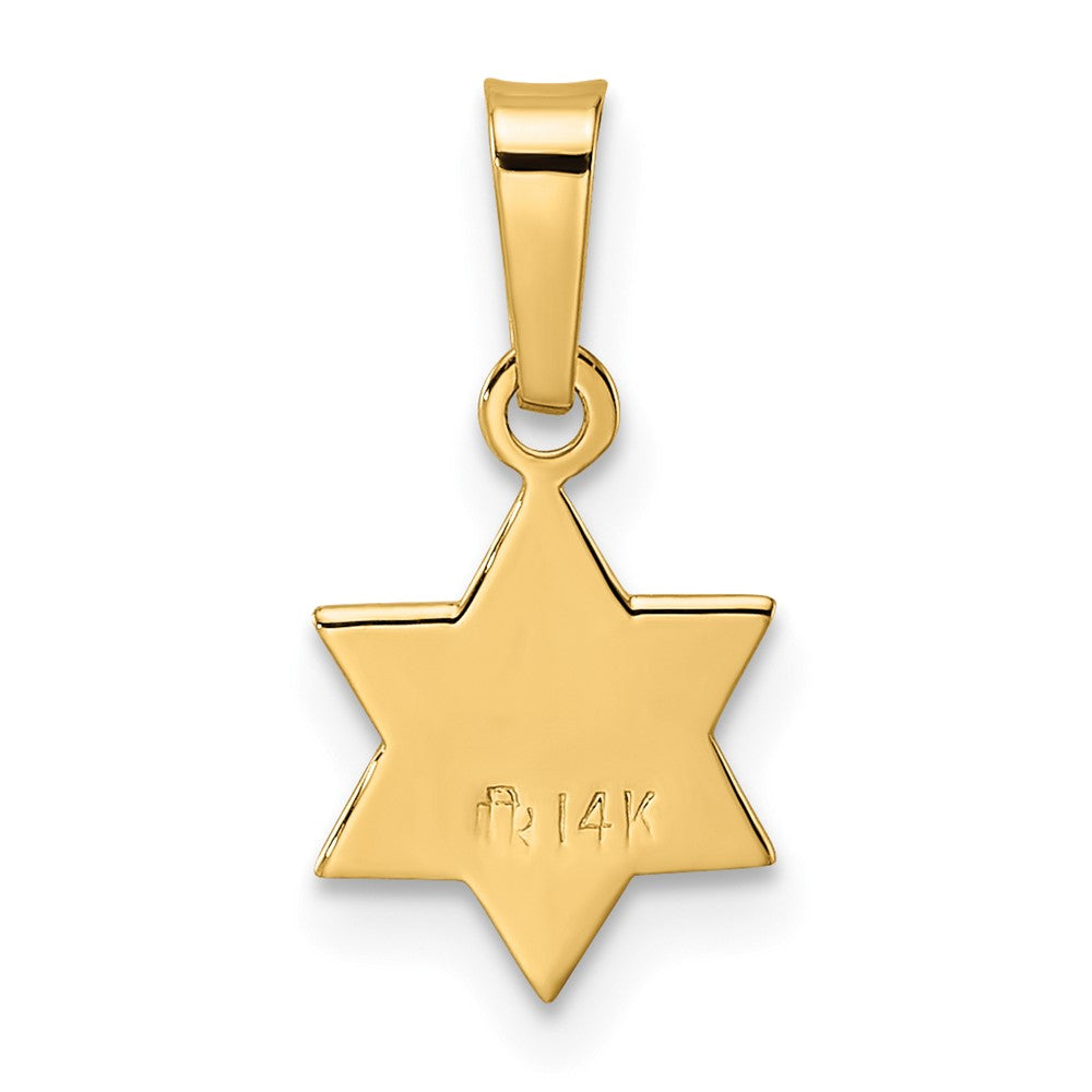 14K Gelbgold 14K Poliert & Strukturiert Massiv Stern Of David Anhänger