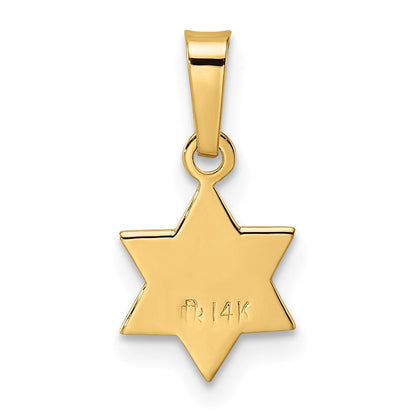 14K Gelbgold 14K Poliert & Strukturiert Massiv Stern Of David Anhänger