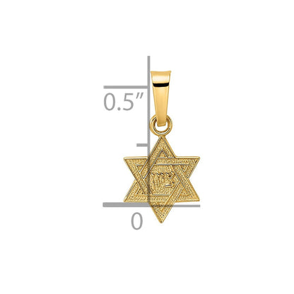 14K Gelbgold 14K Poliert & Strukturiert Massiv Stern Of David Anhänger