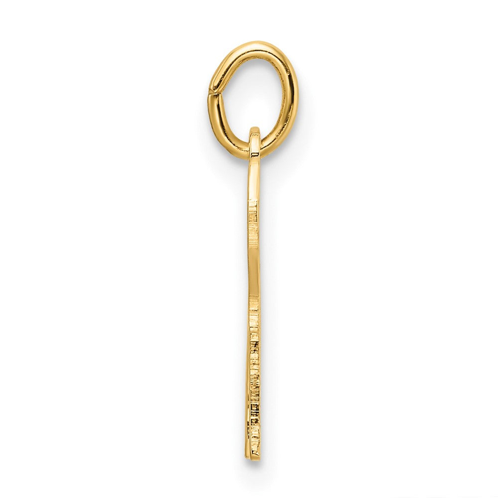 14K Gelbgold 14K Poliert Massiv Chai Symbol Outline Anhänger